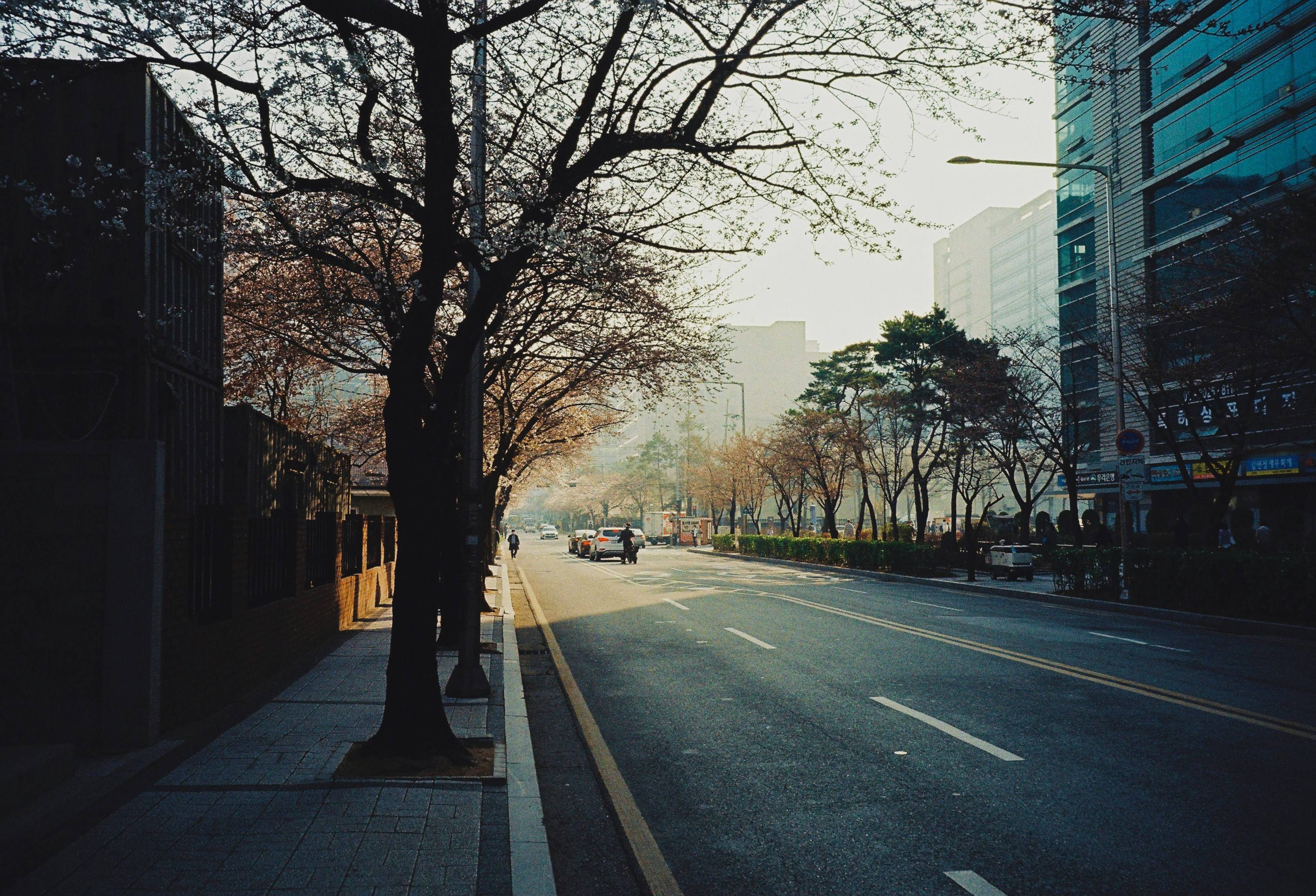 자동차 및 페달 이미지
