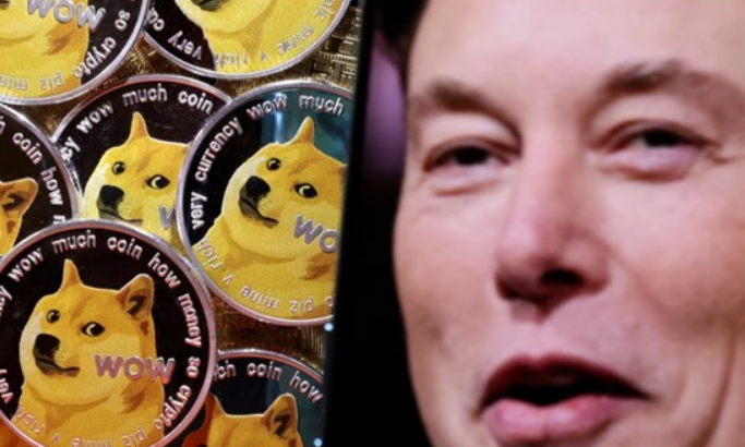 도지코인 일론 머스크