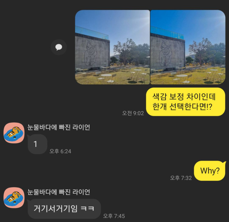 사진 비교 응답 1