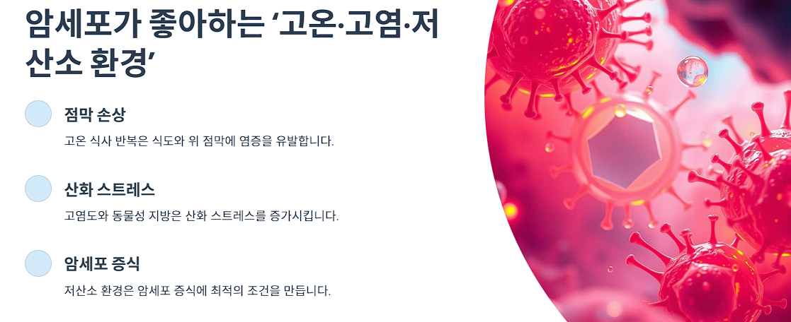암세포가 좋아하는 &lsquo;고온&middot;고염&middot;저산소 환경&rsquo;
