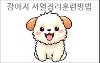 강아지 서열정리훈련방법