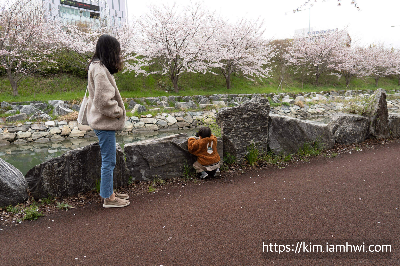 부산 벚꽃명소 지도보기