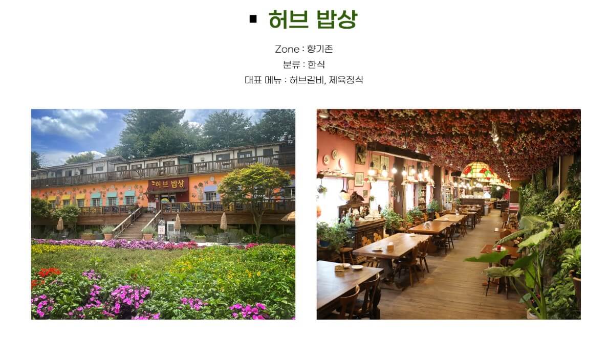 2025년 포천 허브아일랜드 라데봄 축제 완전 정복 가이드! 라데봄 축제 라벤더, 데이지 그리고 봄