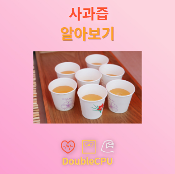 사과즙 탐구