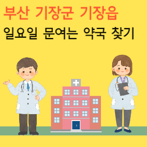 부산 기장군 기장읍 일요일 문여는 당번 약국