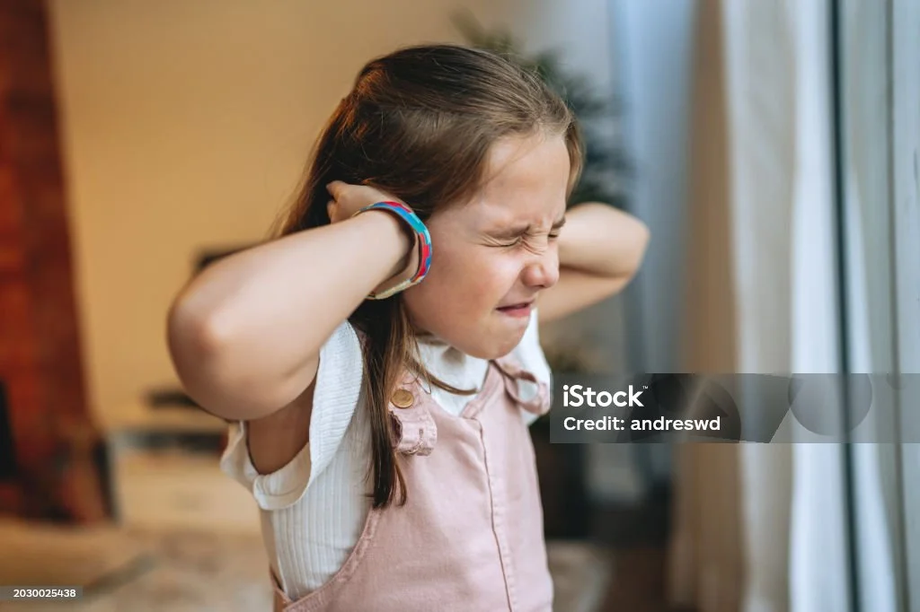 감각통합의 7가지 감각을 설명하는 도식 이미지