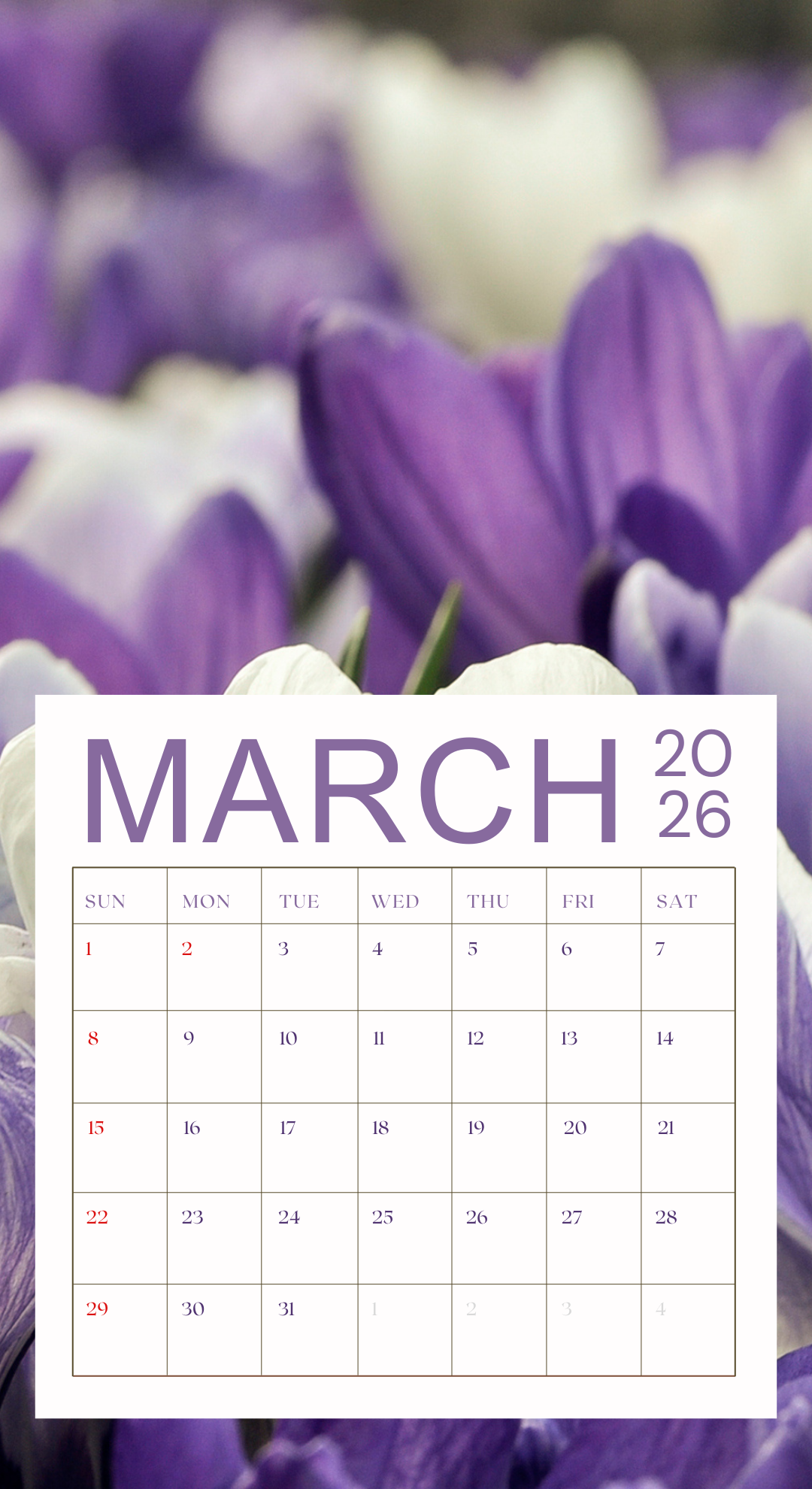 2026년 3월 달력 배경화면 이미지 모음