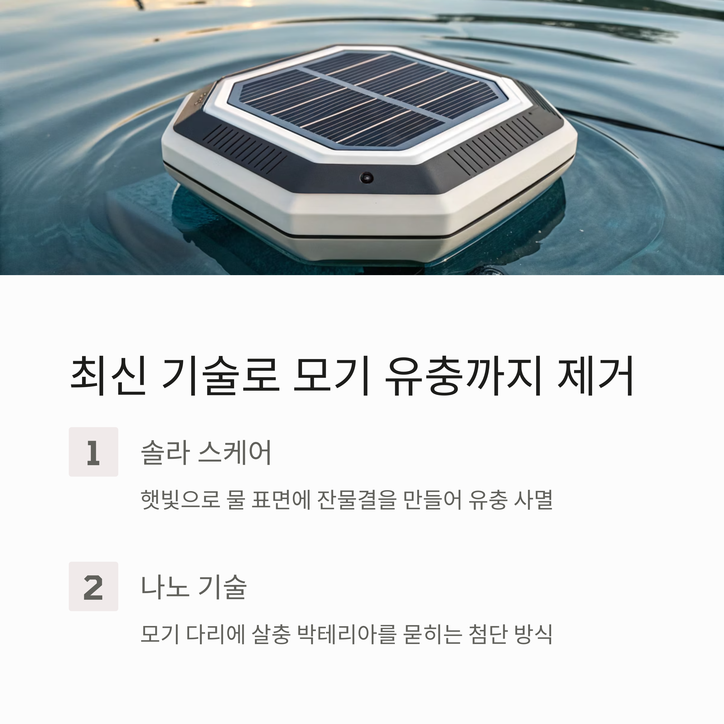 최신 기술로 모기 유충까지 제거