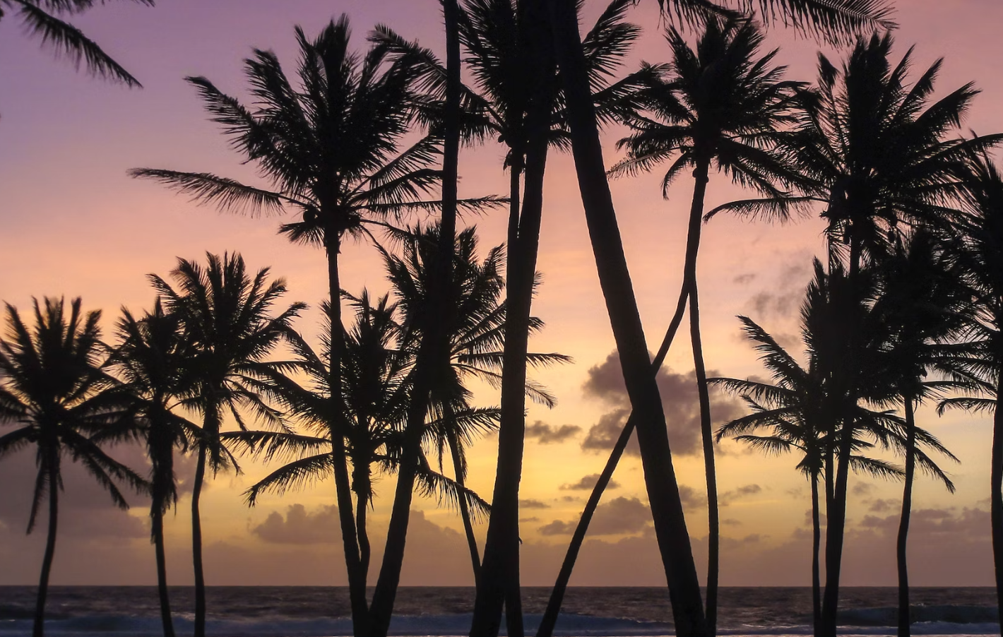 마셜제도(출처:언스플래쉬)