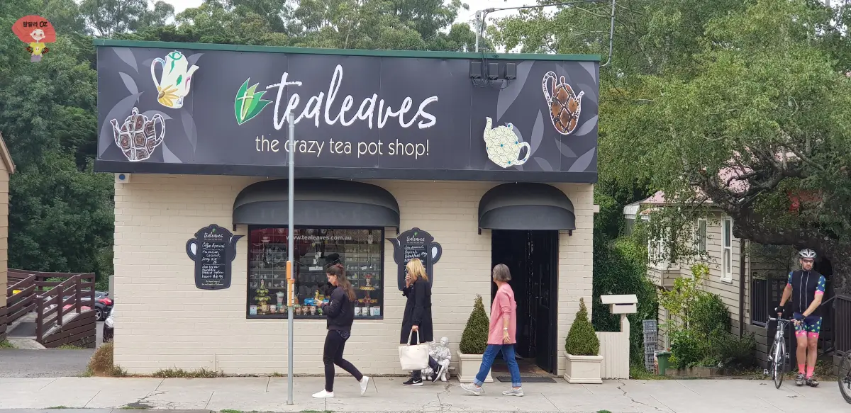 호주-멜버른-단데농-사사프라스-티샵-티리브즈-외관-가게-앞을-걸어가는-사람들