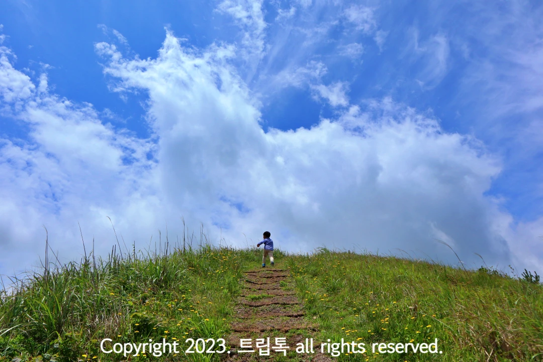 둥그런 정상을 향해 달리는 아이가 마치 하얀 구름이 가늗한 하늘로 달리는 모습이다.