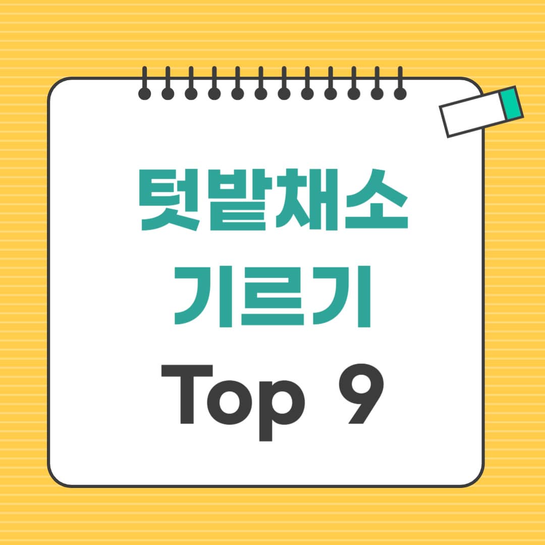 텃밭채소 기르기 초보용