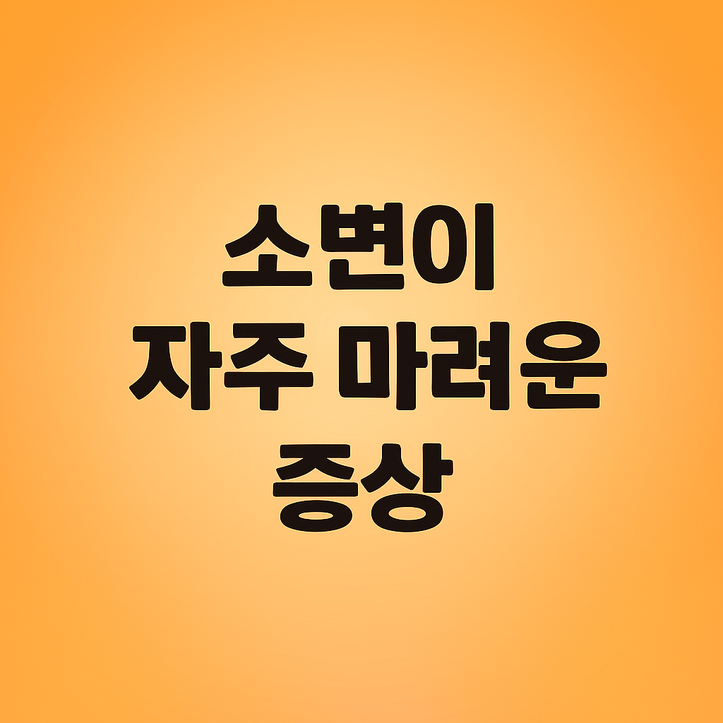 소변이 자주 마려운 증상 이미지