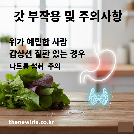 갓 부작용 및 주의사항 - 위가 예민한 사람과 갑상선 질환이 있는 경우 주의해야 하는 갓 섭취 가이드 이미지