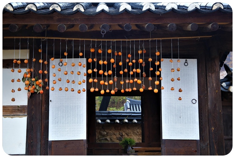 철분 보충 효과, 추가 건강 효능