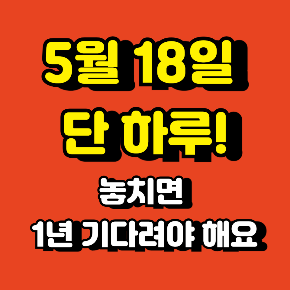 성북세계음식축제 누리마실 2025 총정리