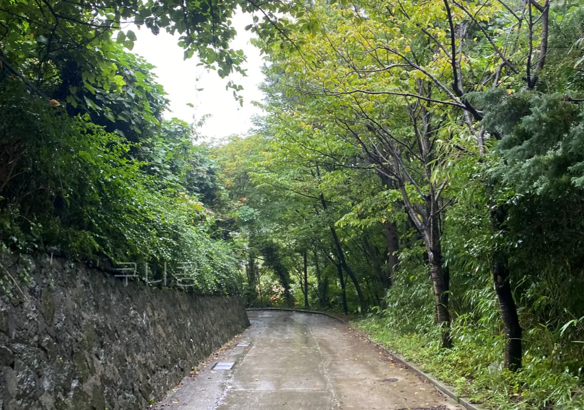 울릉도-추석가족여행-2일차-봉래폭포-입장료할인-주차정보-등산-난이도