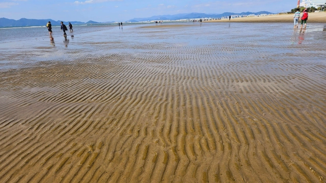 다대포 해수욕장 맨발걷기