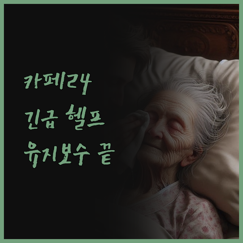 카페24 쇼핑몰, 긴급 헬프 해결! 