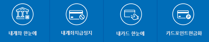 어카운트 인포 홈페이지