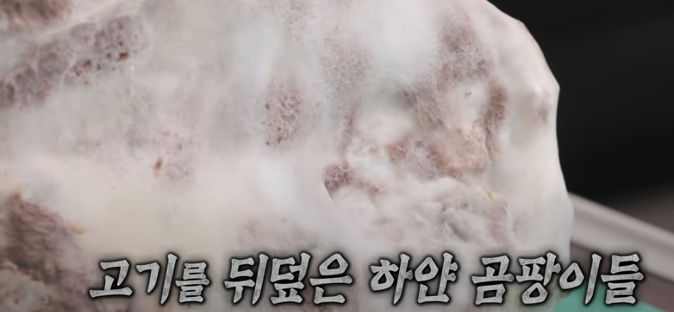 미운우리새끼 배성재 털곰팡이 스테이크 식당