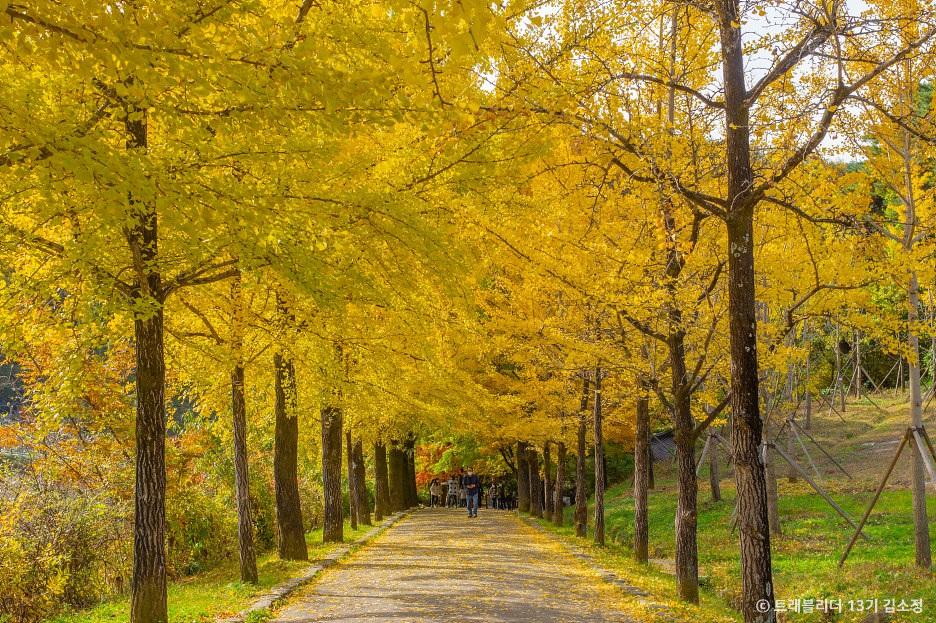 단풍명소추천 영주 부석사