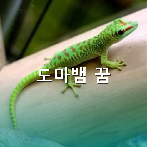 푸른색의-도마뱀이-긴꼬리로-위용을-자랑하며-자태를-뽐내고있는-모습
