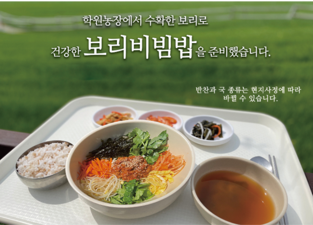 보리비빔밥
