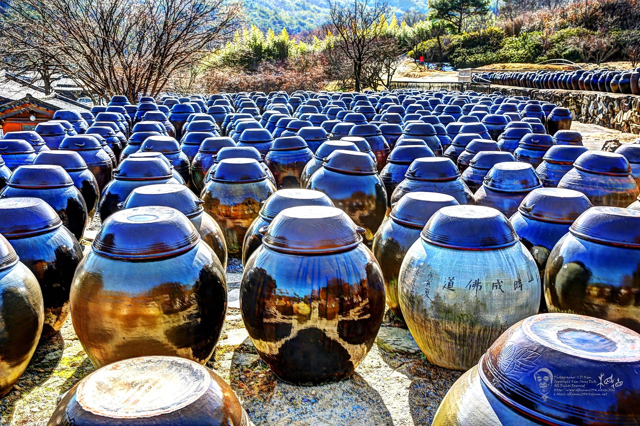 장독대 둘레를 돌며 뚜껑을 정리하던 아침