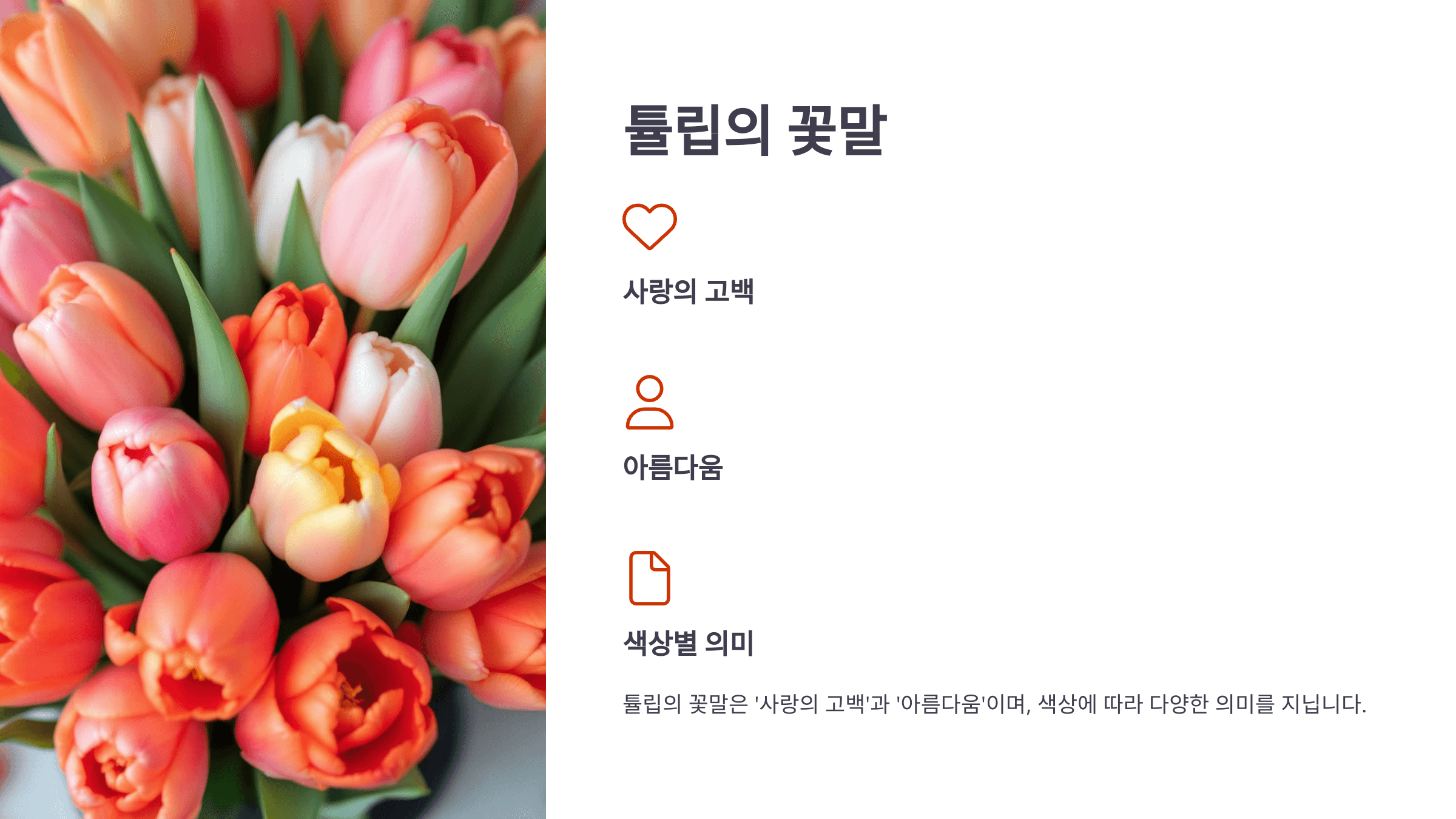 튤립과 관련된 사진입니다.