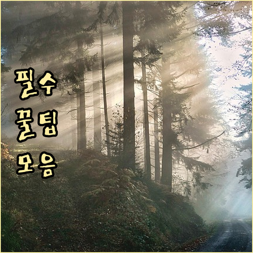 지금 바로! SSG PAY 앱으로 신..