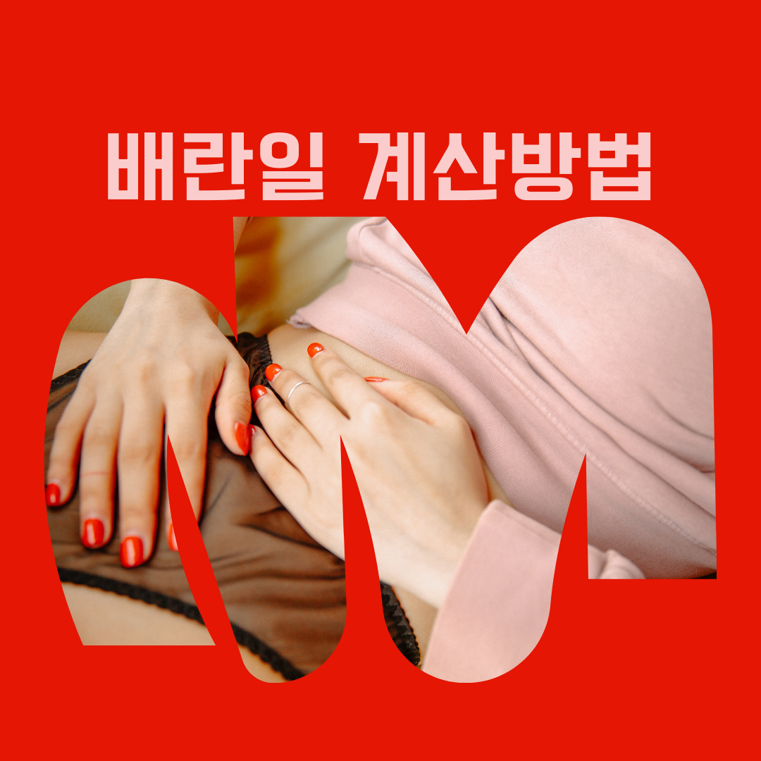 배란일 정확하게 알고 싶다면? 월경주기와 기초체온으로 파헤쳐 보세요!