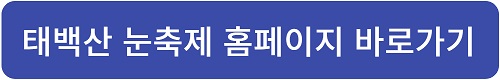 태백산 눈꽃축제 홈페이지 바로가기