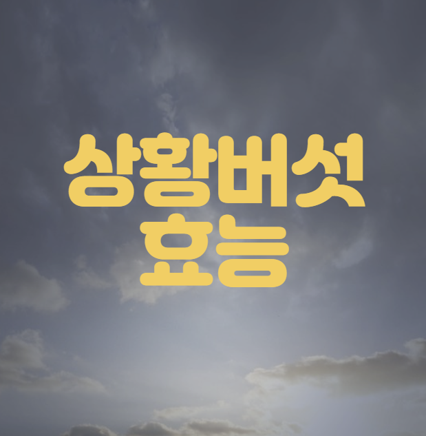 상황버섯 효능