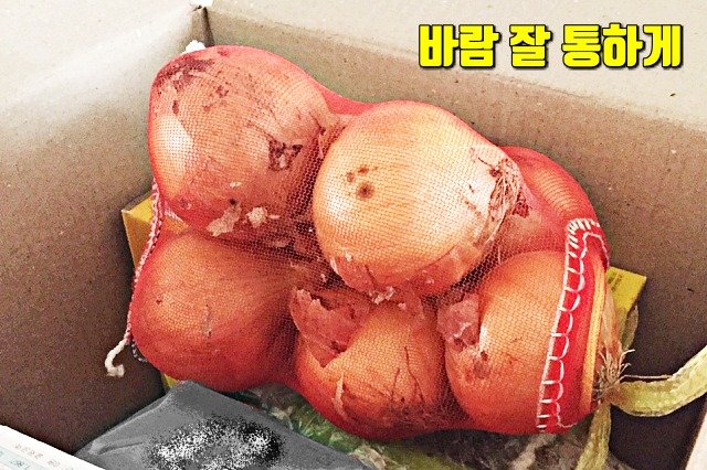 양파 냉장고 보관해도 되나요