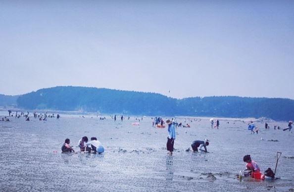 여름 바다 여행-태안 꽂지·몽산포해변 갯벌체험, 낚시