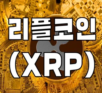 코안마켓캡 분석_14