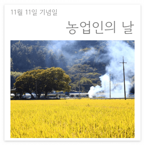 11월11일 농업인의 날