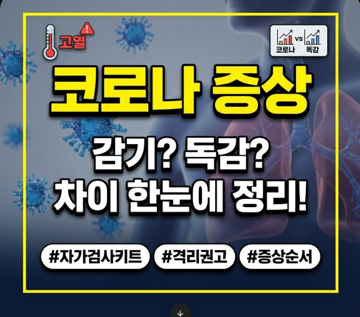 코로나 증상 설명