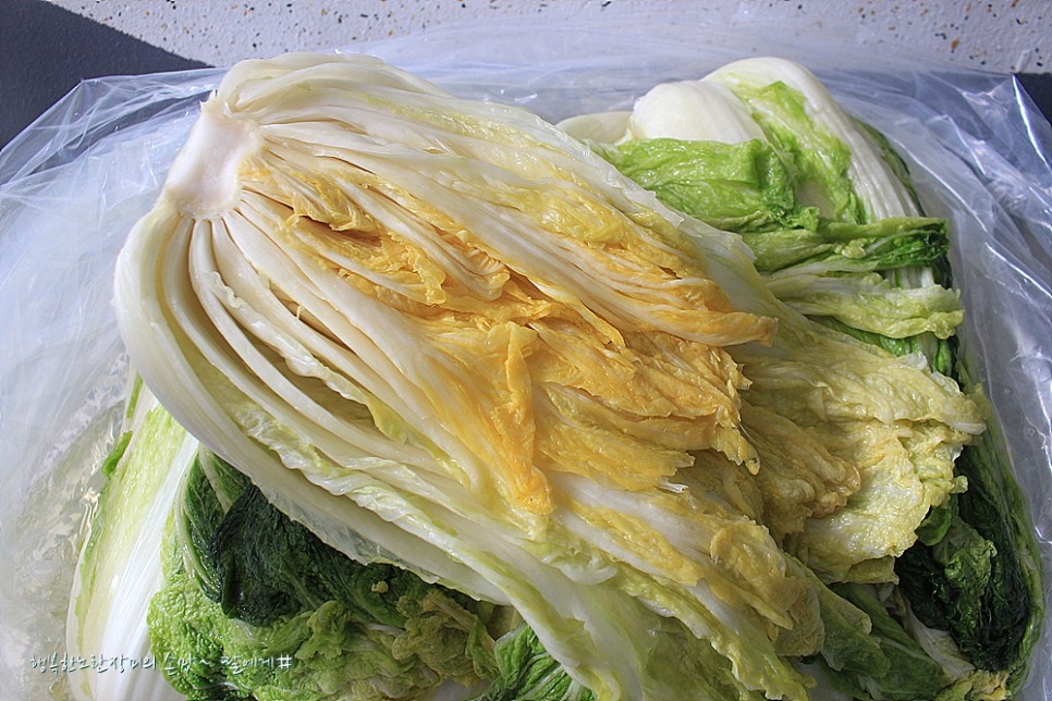 해남절임배추 주문하기(가격)