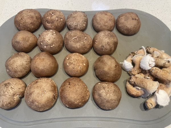 표고버섯 갓과 기둥 분리