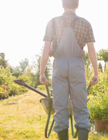 2025년 설날 벌초 업체 서비스