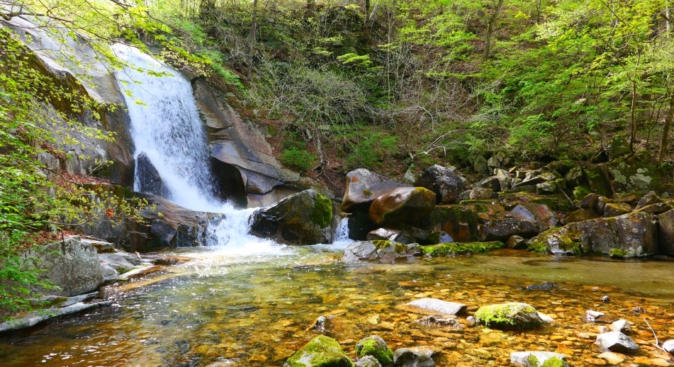 방태산-자연휴양림-09