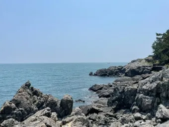 부산 바다 산책 해변 코스 노인 친화 맛집 주차_11