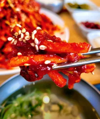 전현무계획2 대구 무침회 육전 납작만두 식당 정보 정리_6