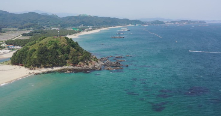 동해바다