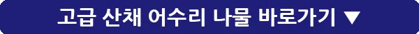 고급 산채 어수리 나물_4