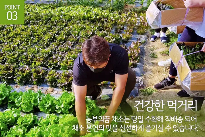 서민갑부 쌈채소 방울토마토 오이 전국 택배 온라인 주문 야채 파는 곳 연 매출 10억 원 귀농 농부 이범석 방송 정보