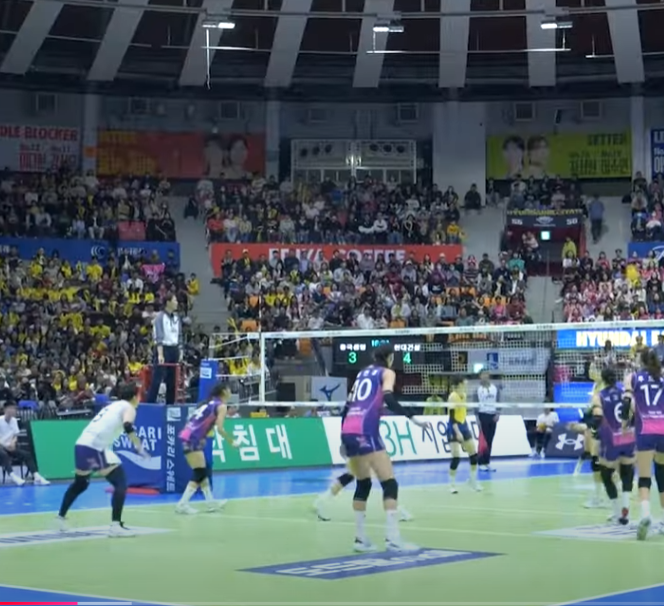 흥국생명 배구단