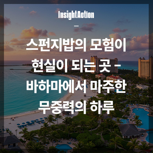 스펀지밥 썸네일